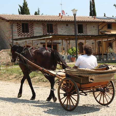 Agriturismo La Colombaia Villa Vicchio Kültér fotó