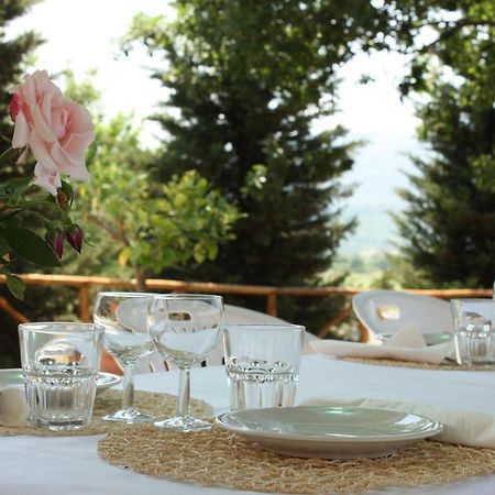 Agriturismo La Colombaia Villa Vicchio Kültér fotó