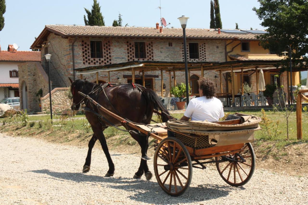 Agriturismo La Colombaia Villa Vicchio Kültér fotó