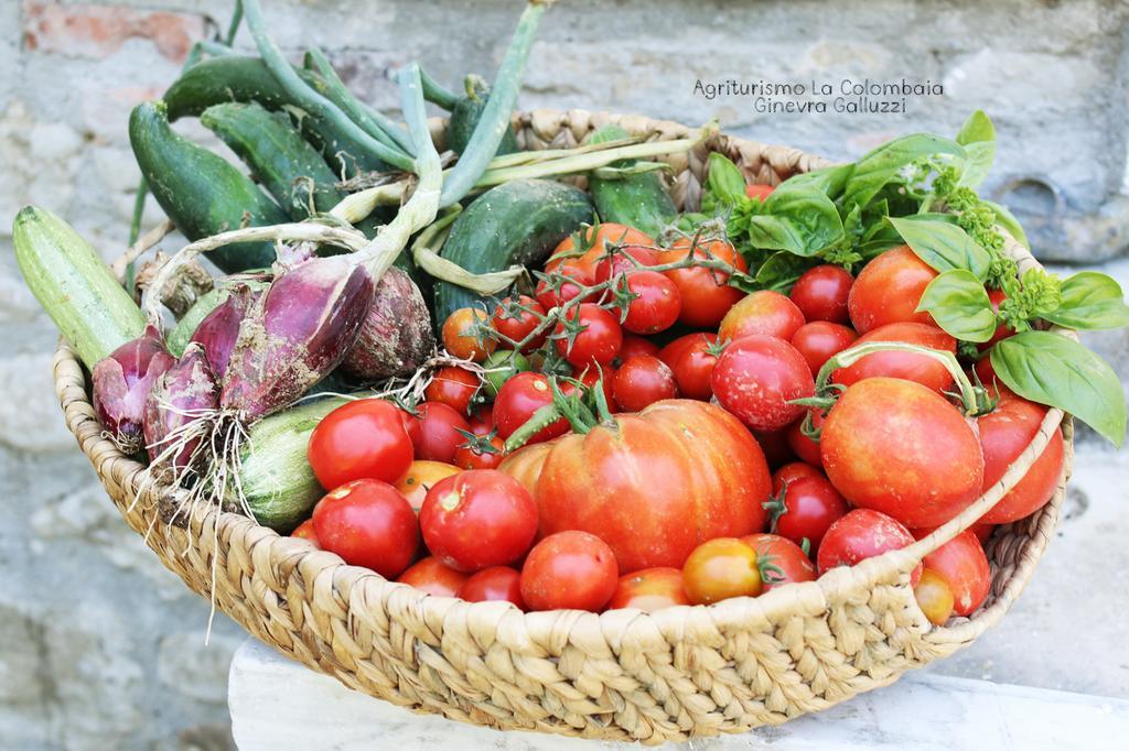 Agriturismo La Colombaia Villa Vicchio Kültér fotó