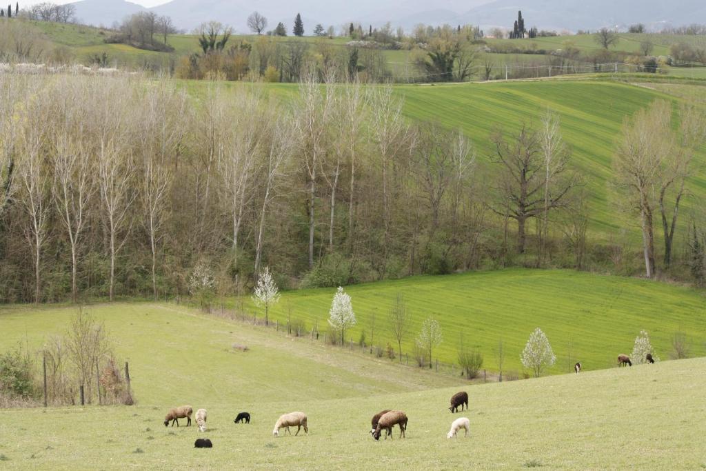 Agriturismo La Colombaia Villa Vicchio Kültér fotó