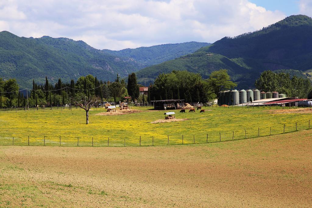 Agriturismo La Colombaia Villa Vicchio Kültér fotó