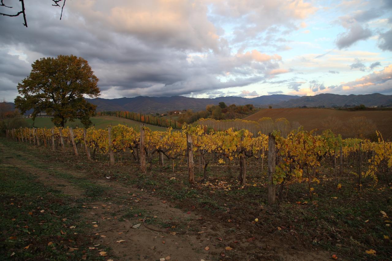 Agriturismo La Colombaia Villa Vicchio Kültér fotó