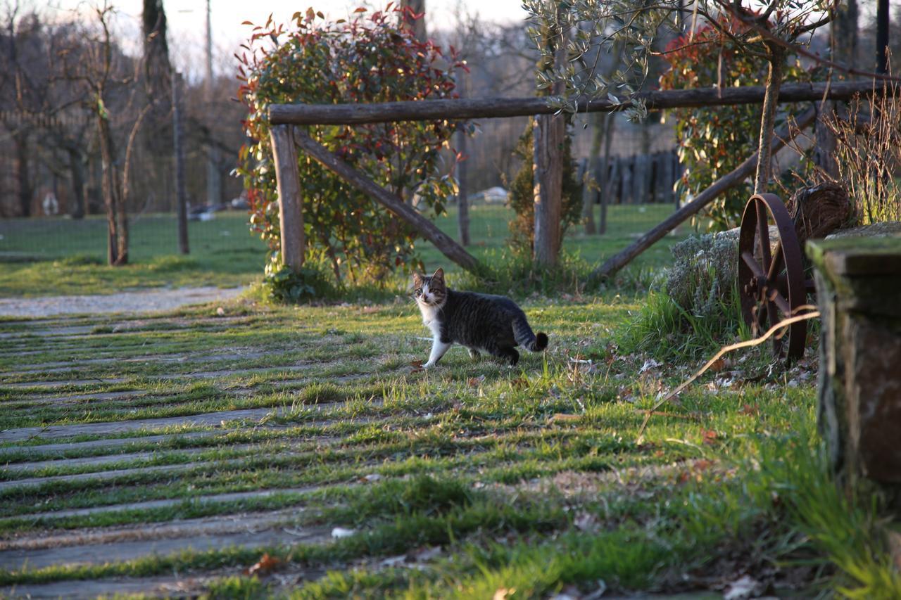 Agriturismo La Colombaia Villa Vicchio Kültér fotó