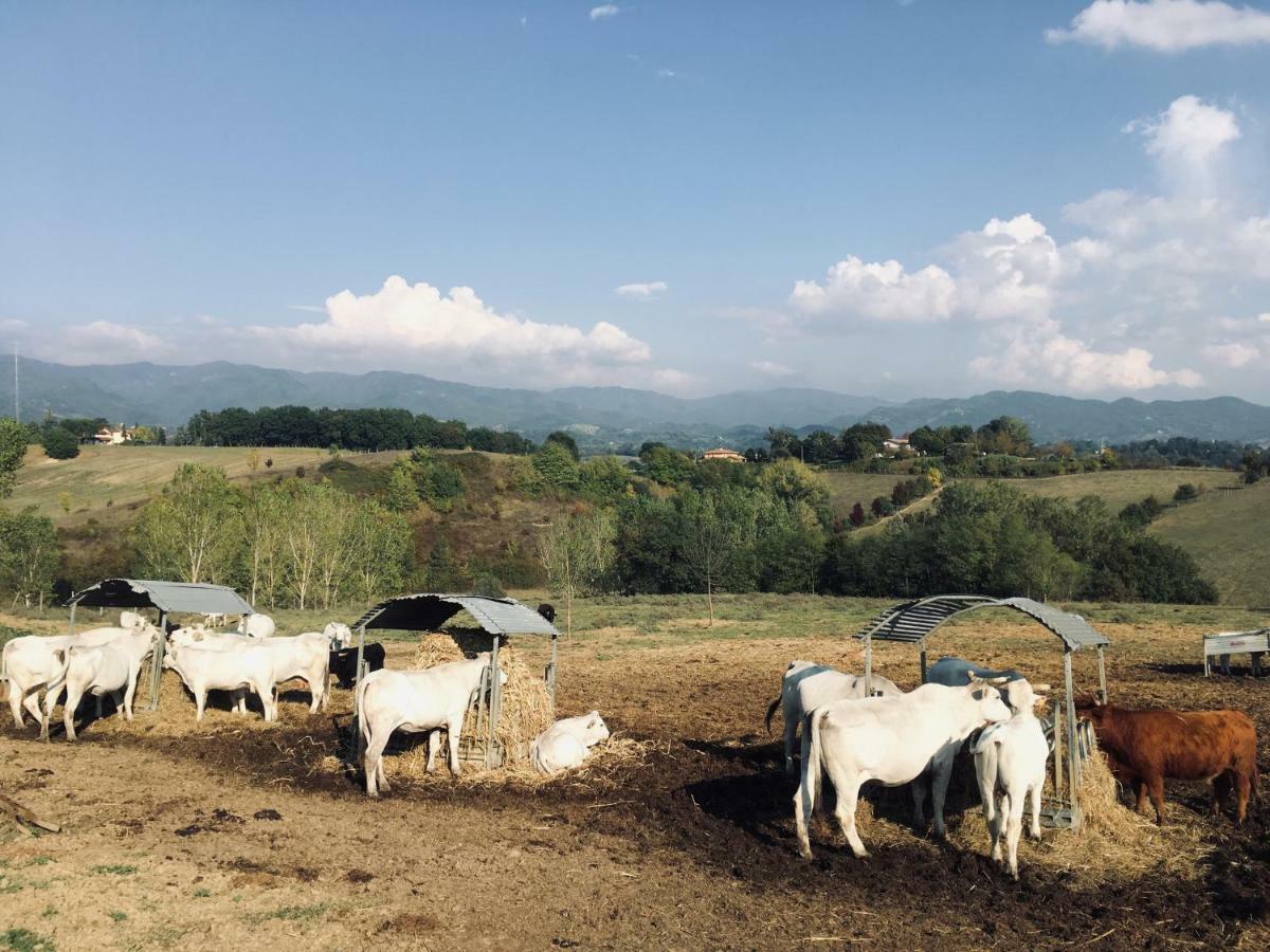 Agriturismo La Colombaia Villa Vicchio Kültér fotó